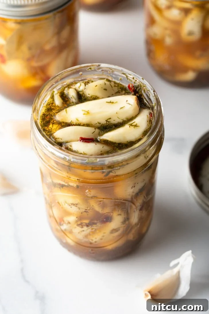 Top down open glass jar stuffed with preserved garlic and herbs.