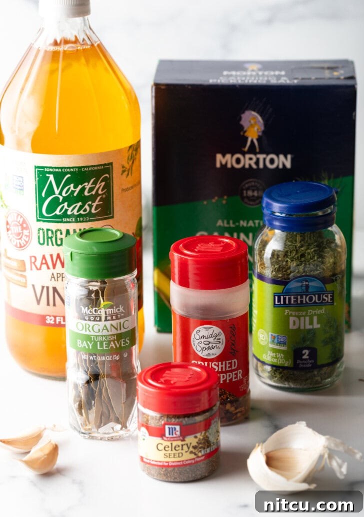 Recipe ingredients in containers: Large bottle of apple cider vinegar, garlic cloves, spices, and box of salt.