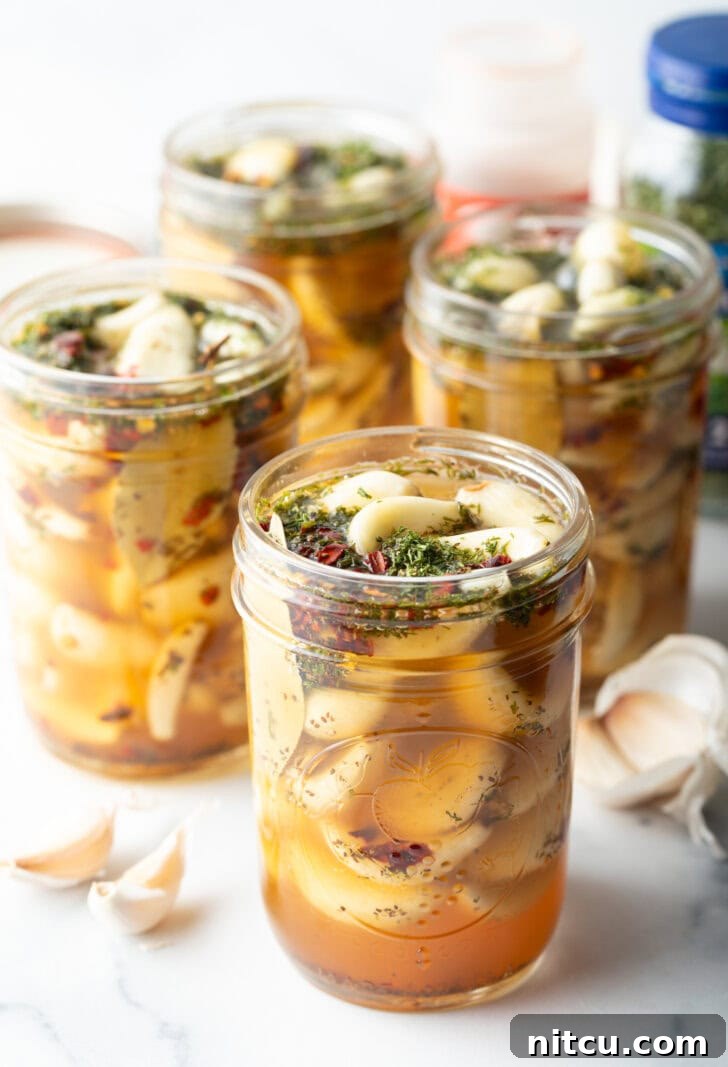 Several open glass jars stuffed with preserved garlic and herbs.