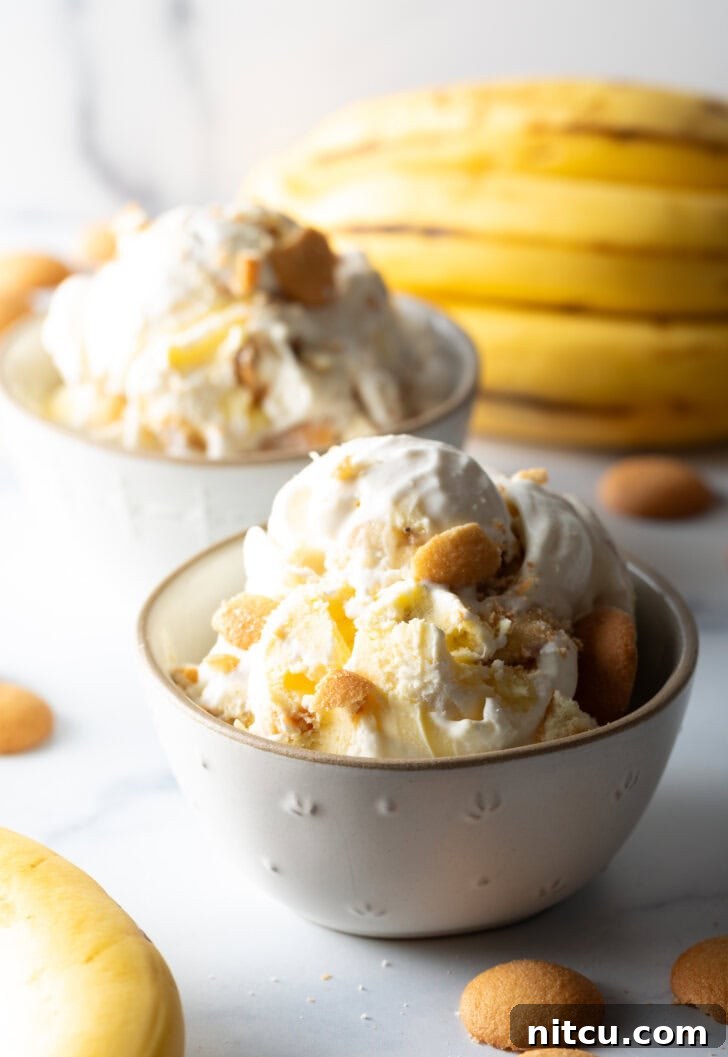 A pristine white bowl filled with creamy banana pudding ice cream, delightfully topped with golden vanilla wafers, showcasing its rich texture.