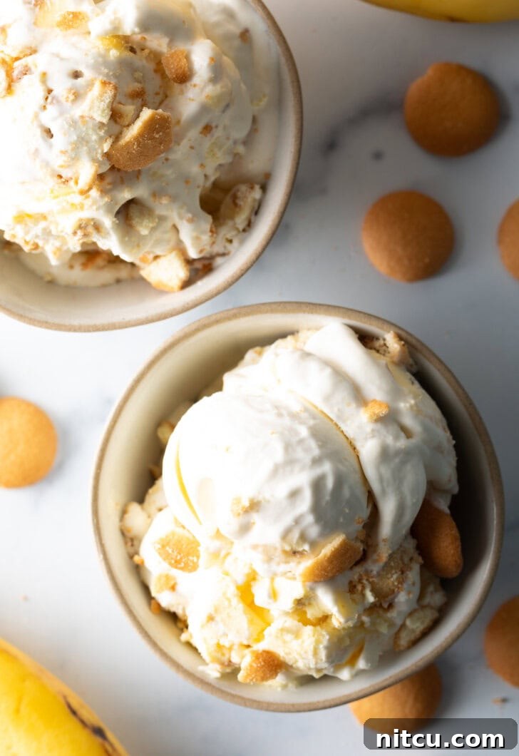 A pristine white bowl filled with creamy banana pudding ice cream, generously topped with golden vanilla wafers, presented beautifully.