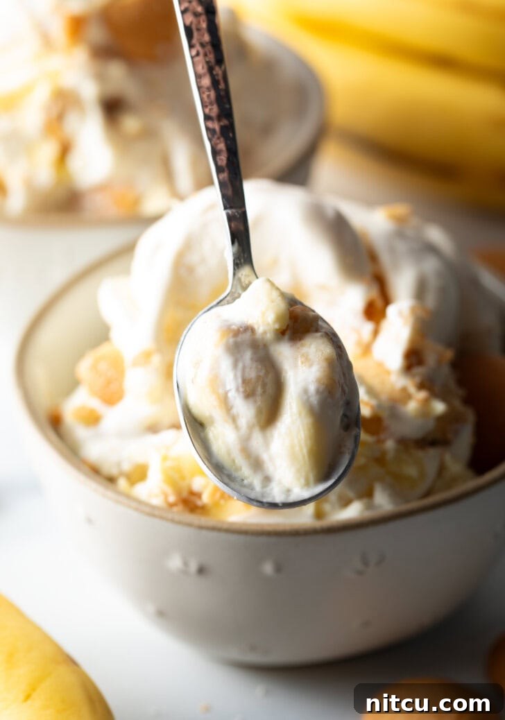 A pristine white bowl filled with creamy banana pudding ice cream, elegantly topped with vanilla wafers. A spoon is captured mid-scoop, presenting a perfect serving to the camera.