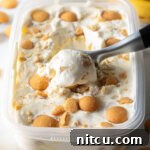 Container of no-churn banana pudding ice cream topped with nilla wafers, with a metal scooper scooping out a portion.