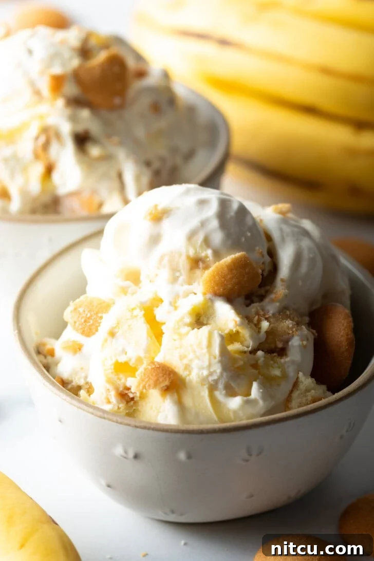 A pristine white bowl filled with creamy banana pudding ice cream, generously adorned with golden vanilla wafers, ready to be enjoyed.