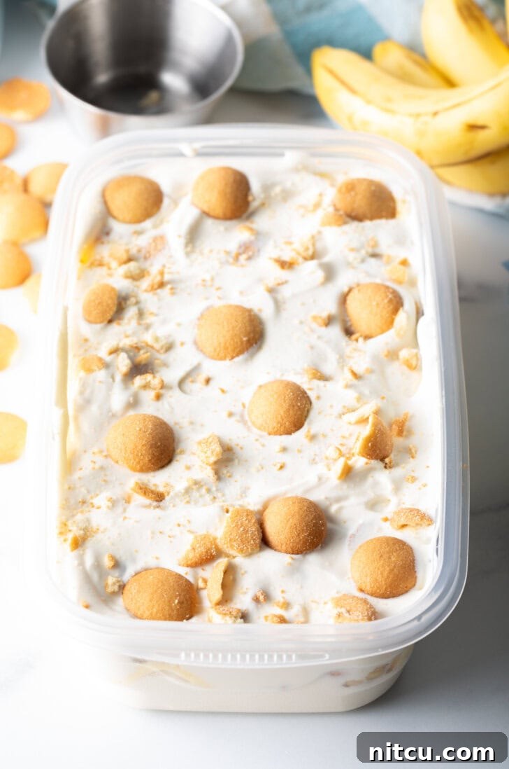 A generous container of homemade no-churn banana pudding ice cream, impeccably layered and topped with a scattering of golden Nilla wafers, ready for freezing.