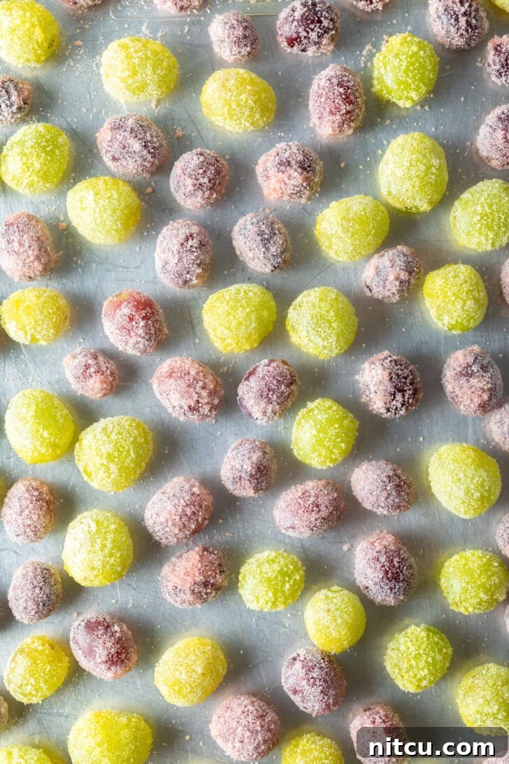 Top down view of a blend of green and purple grapes candy coated and spread on a baking sheet.