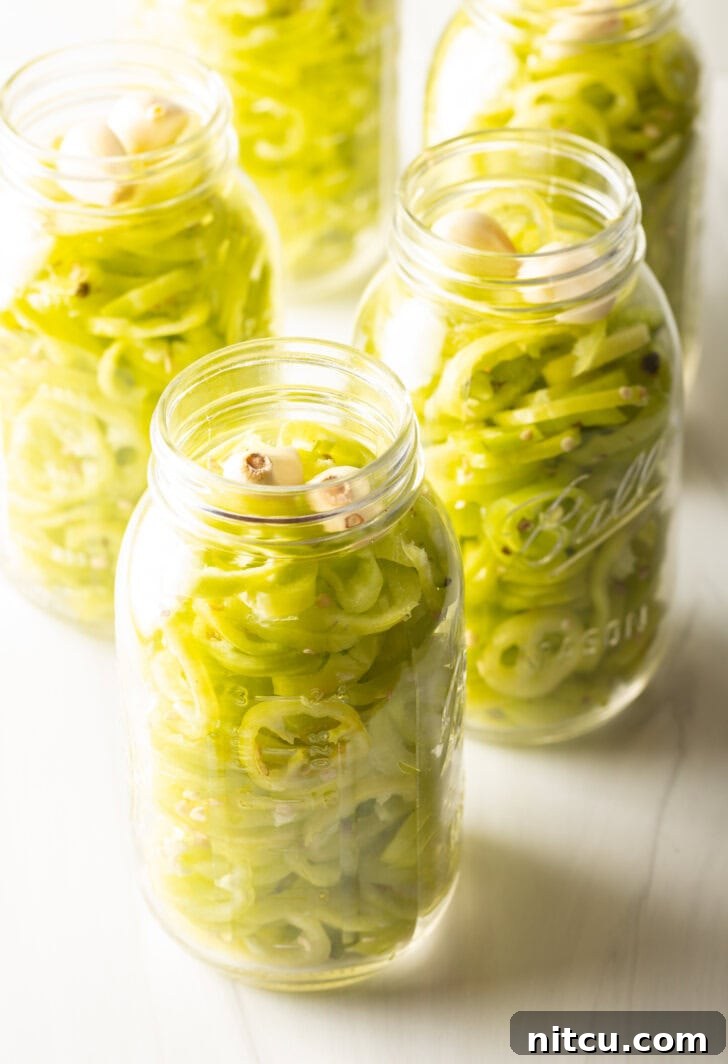 Full jars of pickled peppers. The lids are off to show the slices of peppers.
