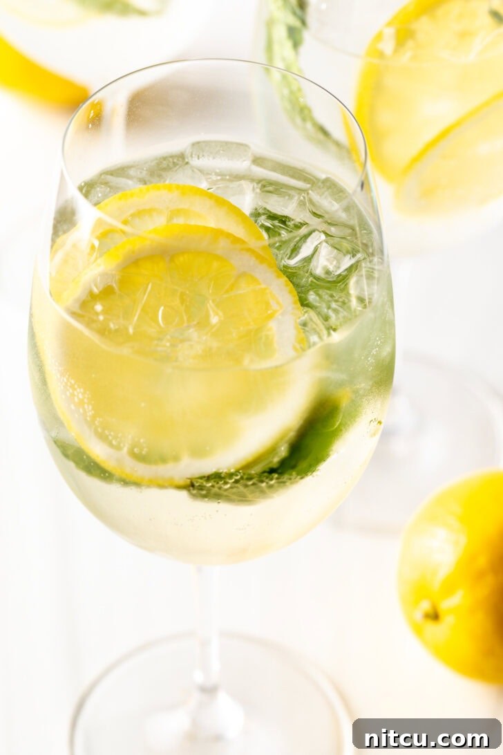 Wine glass with clear alcohol, mint leaves, and lemon slices.