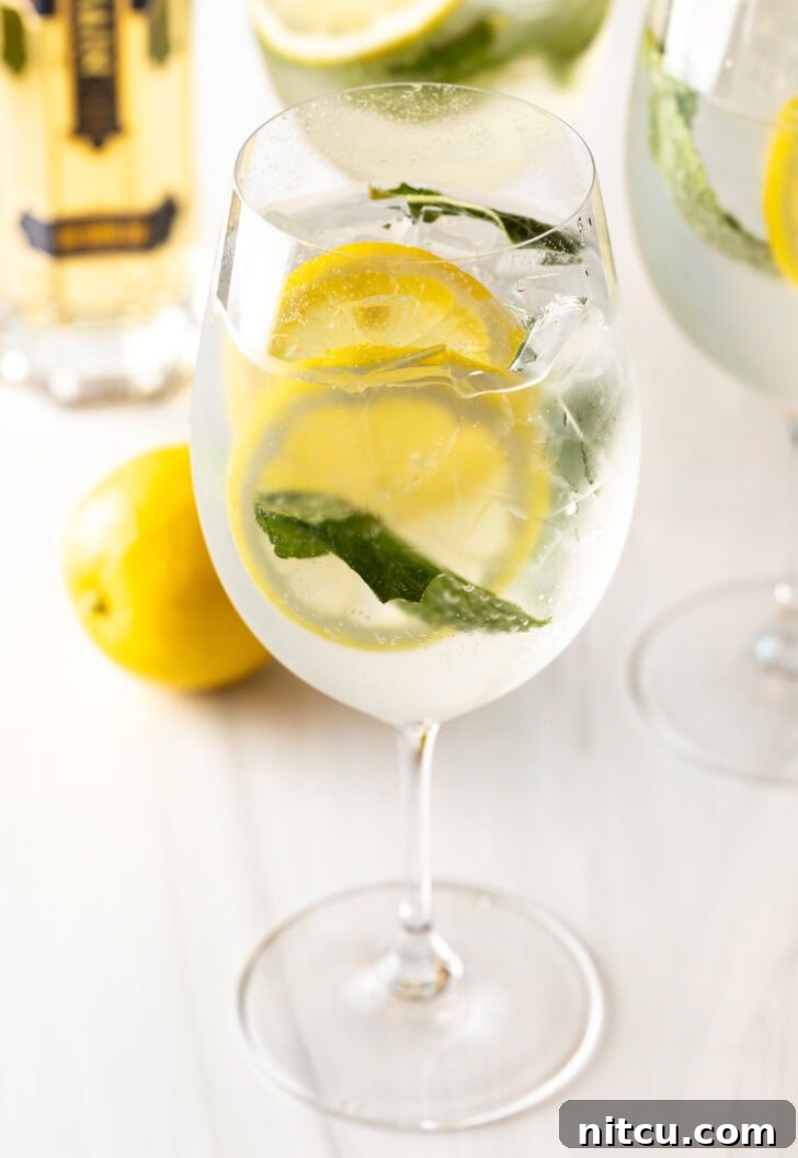 Finished hugo spritz recipe: 3 wine glasses each with clear alcohol, mint leaves, and lemon slices.