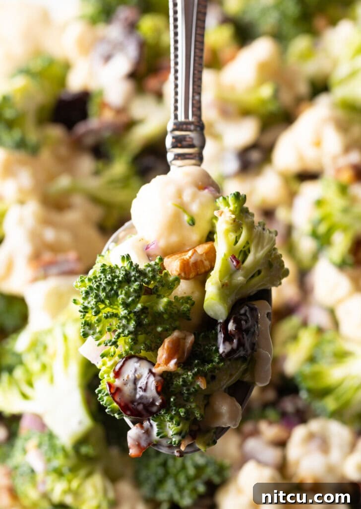 A spoon generously filled with vibrant broccoli, pecan, red onion, cranberry, and cauliflower salad, held up to the camera, showcasing its delicious mix of ingredients.