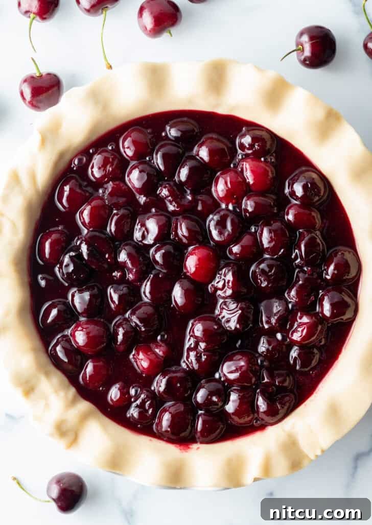 A raw pie bottom crust, perfectly fitted into a pie pan, filled generously with the rich, red homemade cherry pie filling, awaiting its top layer.