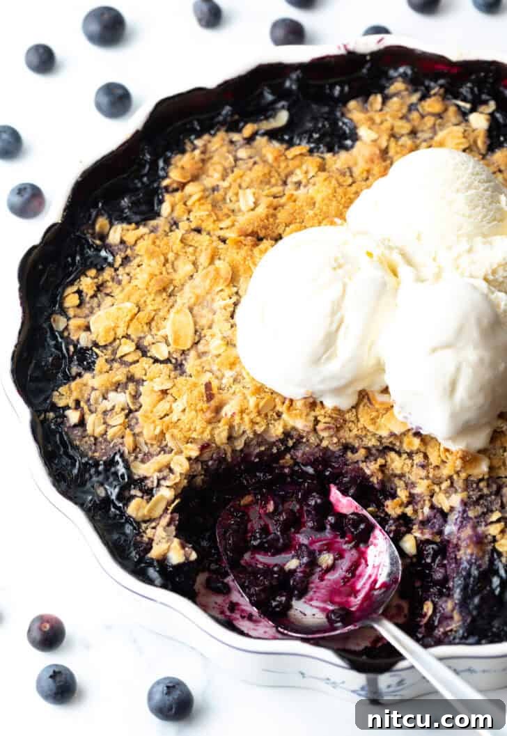 A beautifully baked blueberry crisp in a scalloped round baking dish, topped with melting scoops of vanilla ice cream. A metal spoon has taken out a serving, revealing the luscious blueberry filling beneath the golden crumble.