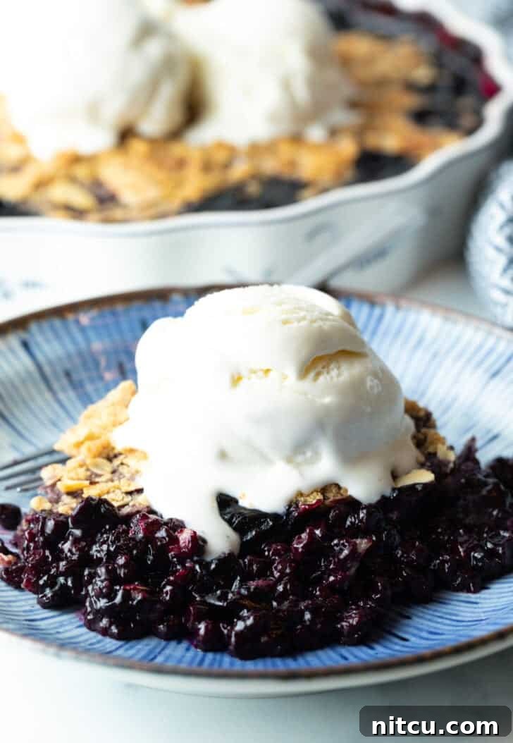 A close-up of a serving of blueberry crumble on a white plate, topped with a scoop of vanilla ice cream, showing the rich purple fruit and golden crumble texture.