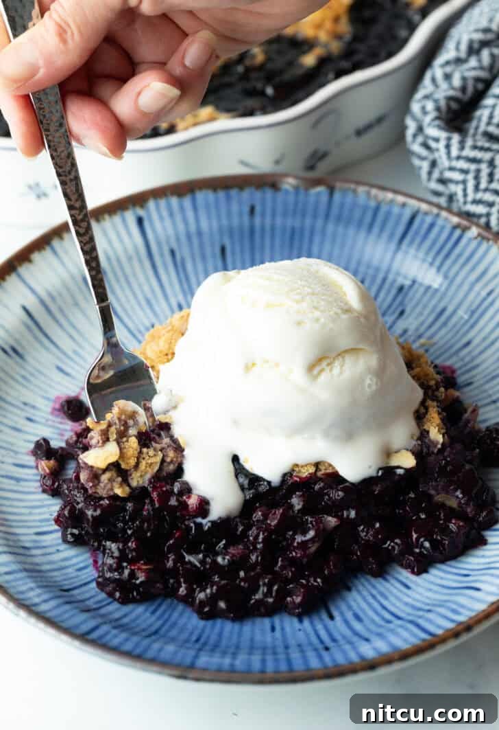 A plate holding a serving of warm blueberry crumble, topped with a melting scoop of vanilla ice cream. A fork has taken a bite, showcasing the delightful layers of fruit and topping.