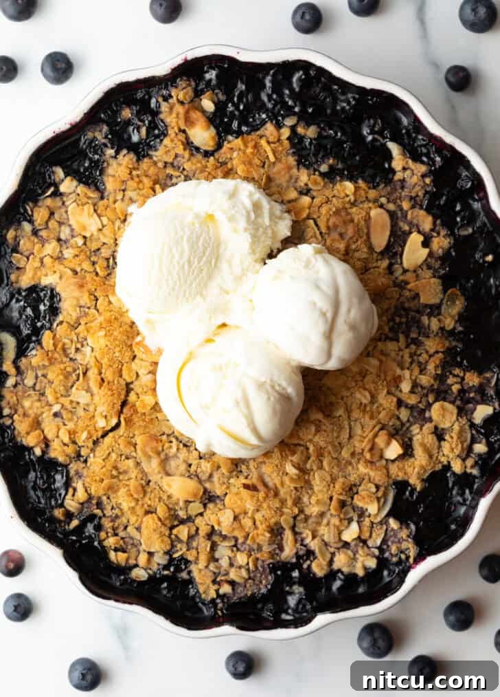 A close-up shot of the golden-brown topping of a blueberry crisp in a scalloped round baking dish, generously topped with multiple scoops of melting vanilla ice cream.