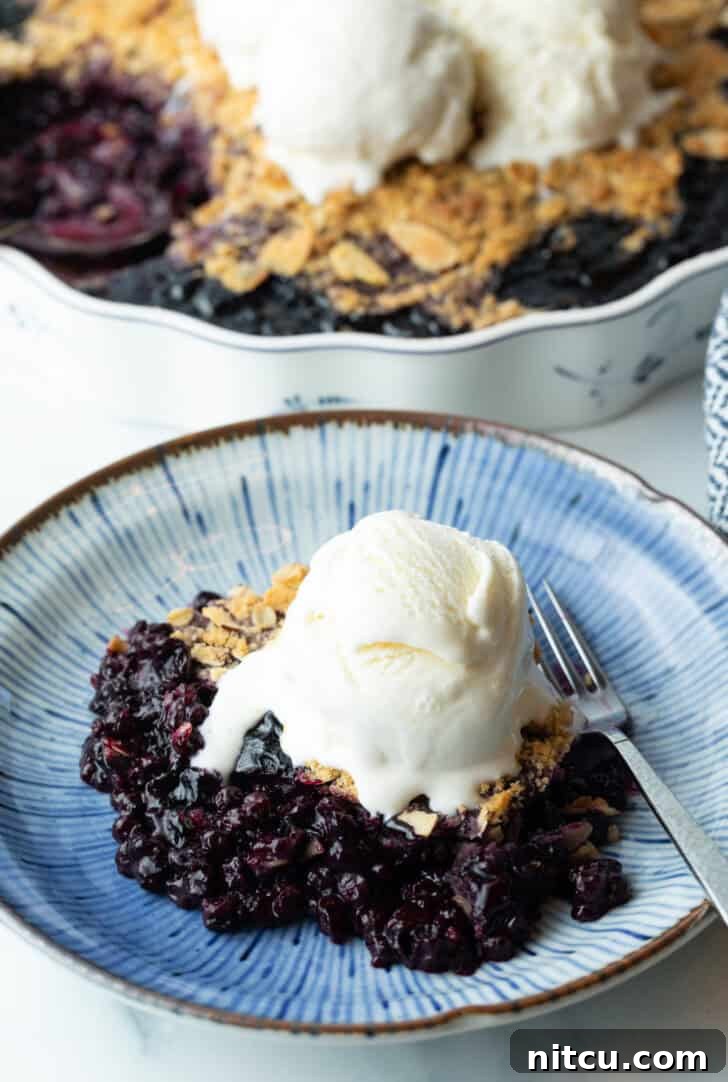 A delectable serving of warm blueberry crumble on a white plate, topped with a scoop of melting vanilla ice cream and garnished with a fresh blueberry.