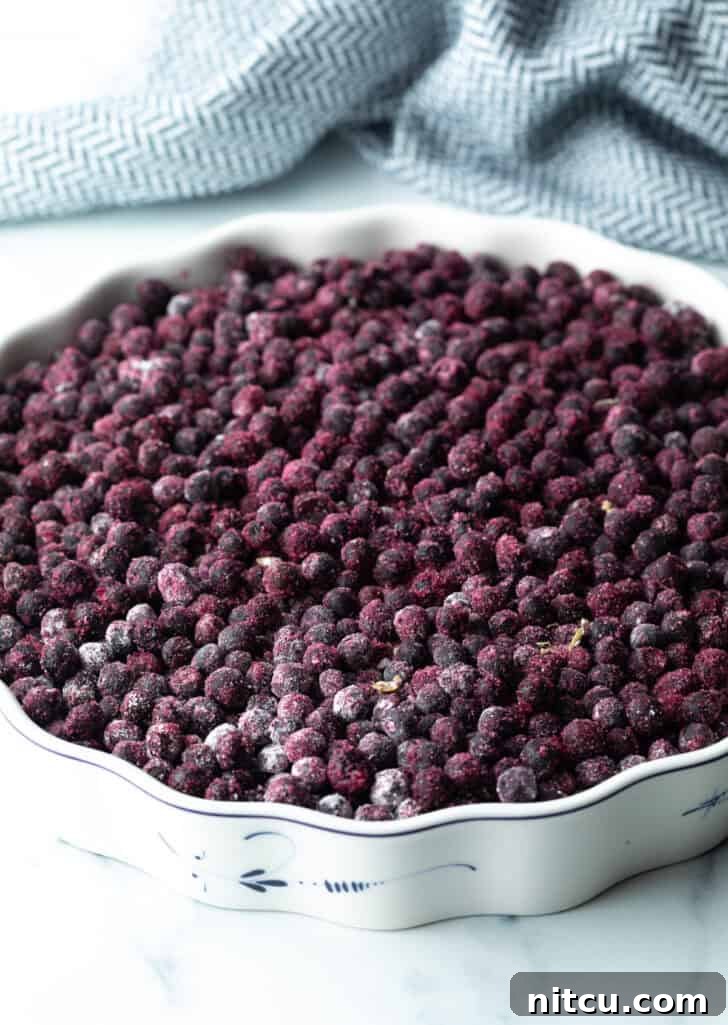 A baking dish filled with a generous layer of blue and purple blueberries, coated in their filling mixture, ready for the topping.