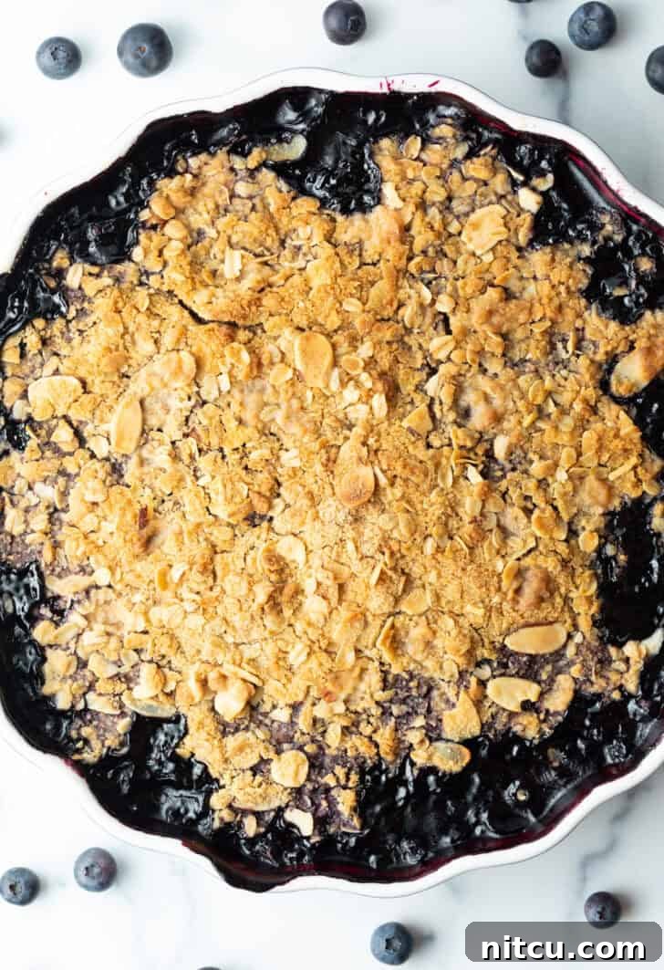 A freshly baked, golden-brown blueberry crisp in a scalloped round baking dish, steam gently rising, ready to be served.