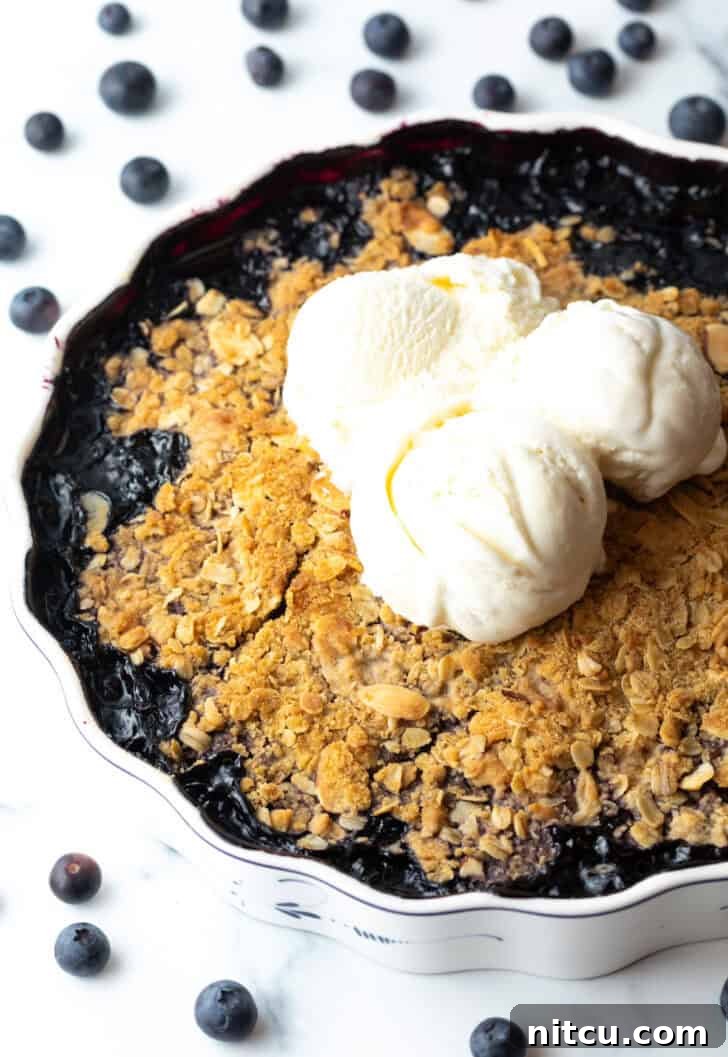 A baked blueberry crisp in a decorative scalloped round dish, generously topped with multiple scoops of melting vanilla ice cream, creating a mouth-watering presentation.