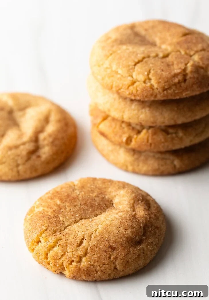 Four golden-brown biscochitos are stacked in the background, with two broken halves of a biscochito placed invitingly in the foreground.