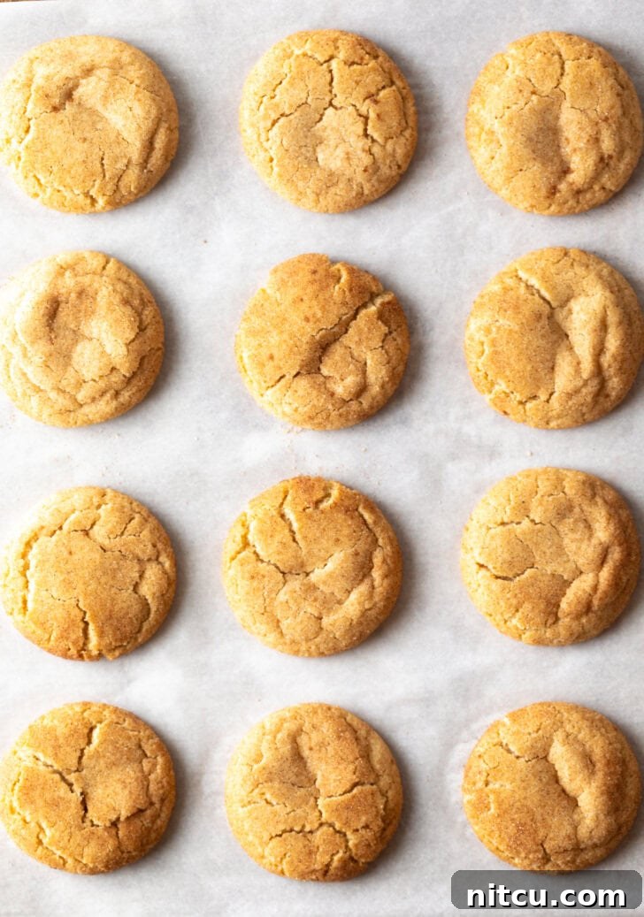 An overhead shot of a dozen beautifully baked cinnamon cookies, arranged on parchment paper.