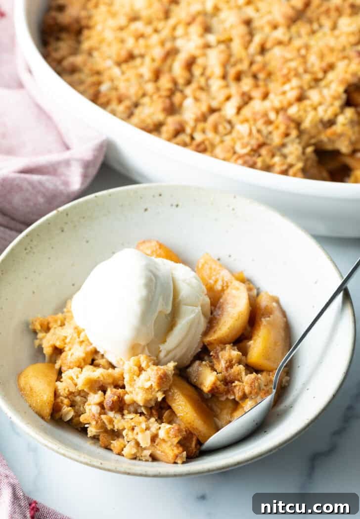 Top down view of a white bowl with golden apple crisp topped with a big scoop of ice cream, illustrating the perfect fall dessert.