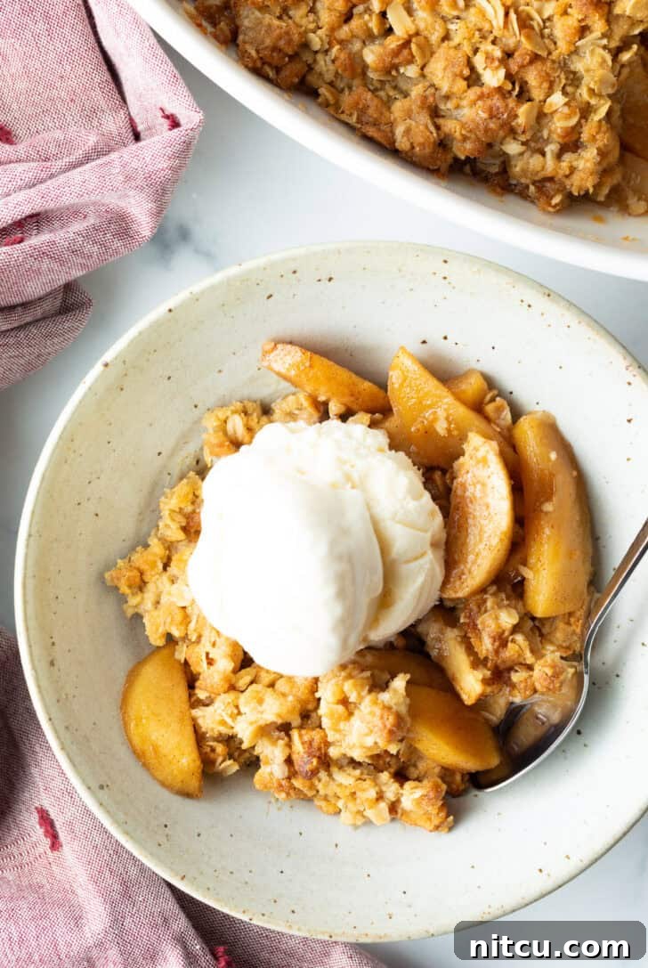 Top down view of a white bowl with golden apple crisp topped with a big scoop of ice cream, a delicious autumn treat.