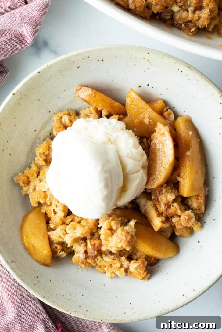 Top down view of a white bowl with golden apple crisp topped with a big scoop of ice cream, ready to be enjoyed as a classic fall dessert.