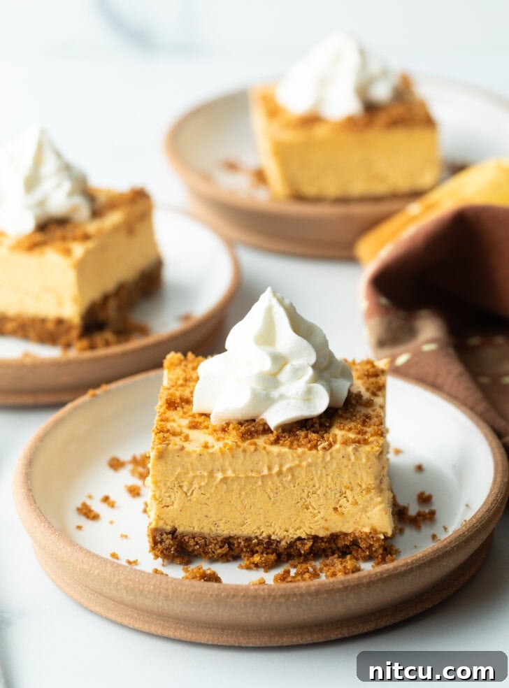 Square of pumpkin pie cheesecake on a white plate, topped with whipped cream.
