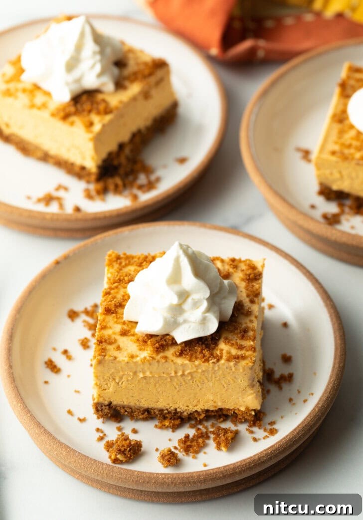 Pumpkin cheesecake bar on a white plate, topped with whipped cream.