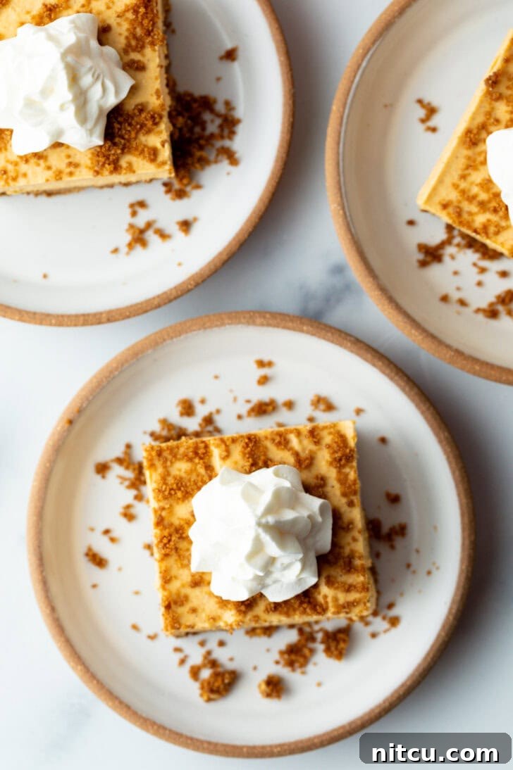 Top down view pumpkin cheesecake bar on a white plate, topped with whipped cream.