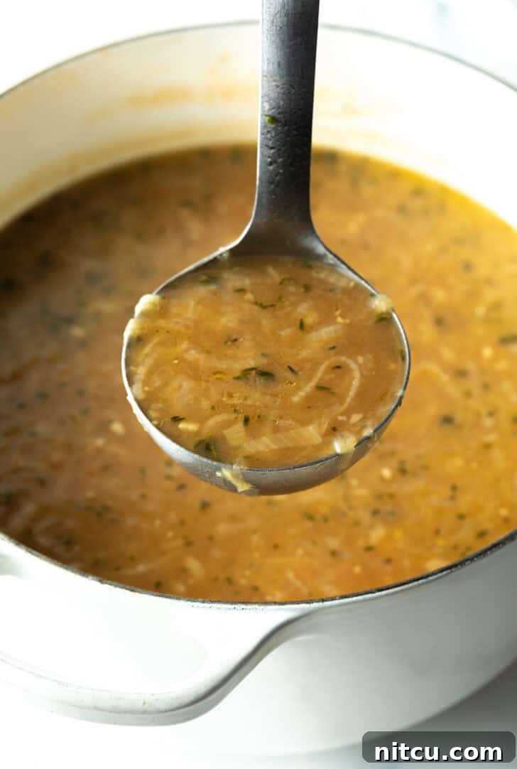 Metal ladle showing onion soup to camera, ready for serving.