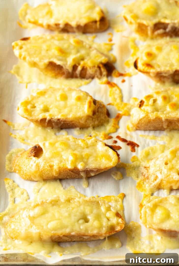 10 slices of baguette on a baking sheet, topped with melted cheese after broiling.
