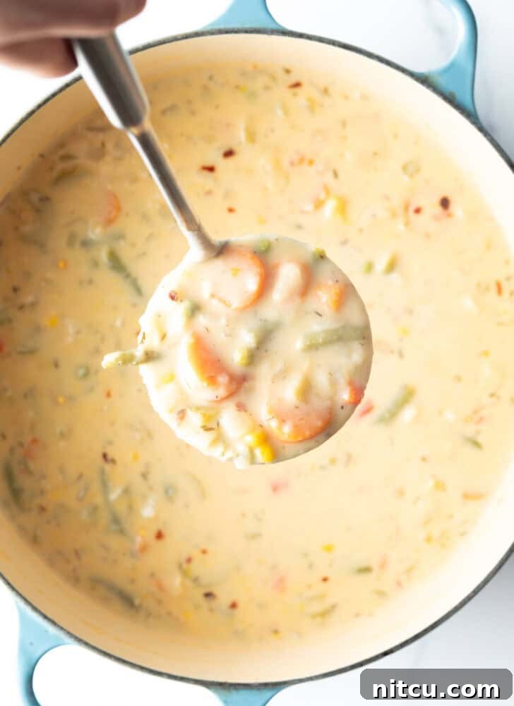 Large cooking pot with creamy vegetable soup, with a ladle showing a scoop to camera.