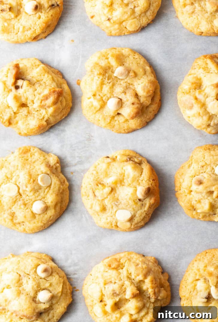 A dozen freshly baked cookies on a baking sheet, golden and perfectly formed.