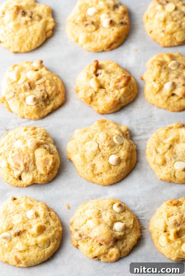 A dozen baked cookies on a baking sheet, cooled and ready for frosting or serving.