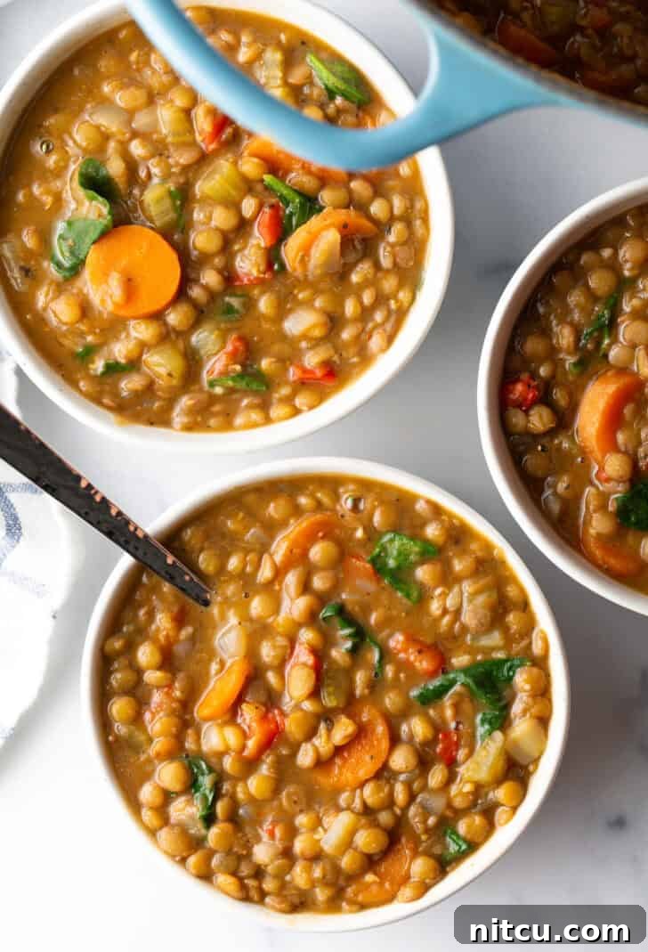 Three white bowls of comforting traditional lentil soup, generously adorned with vibrant carrots and fresh kale, presented on a rustic surface.