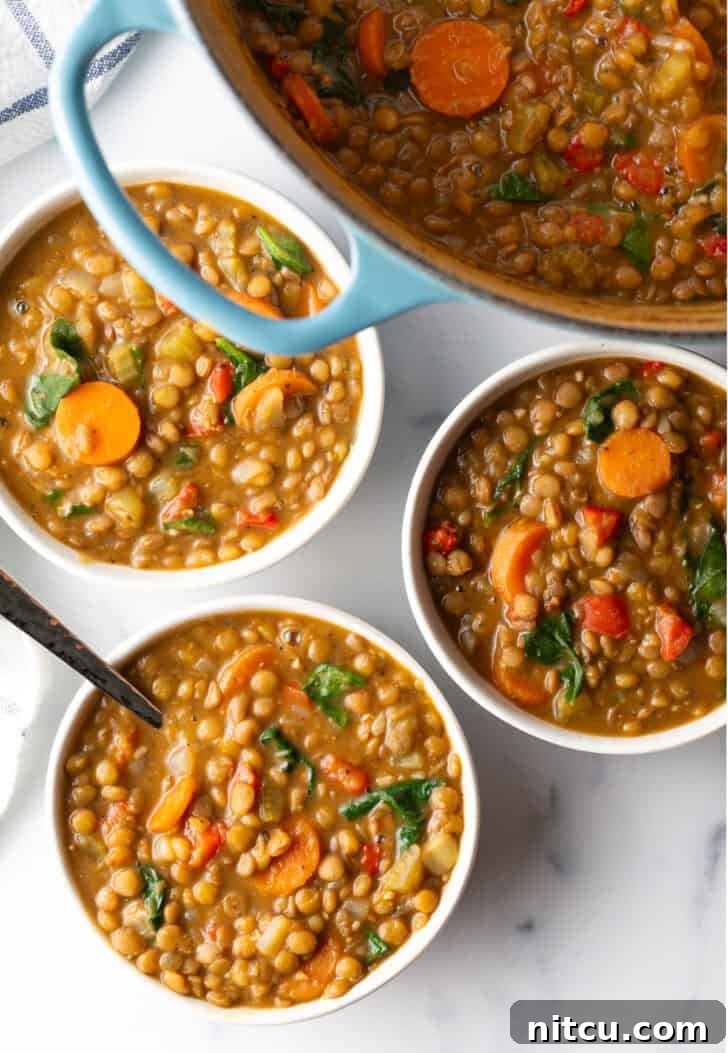 Three white bowls of wholesome lentil soup, rich with carrots and kale, promising warmth and nutrition.