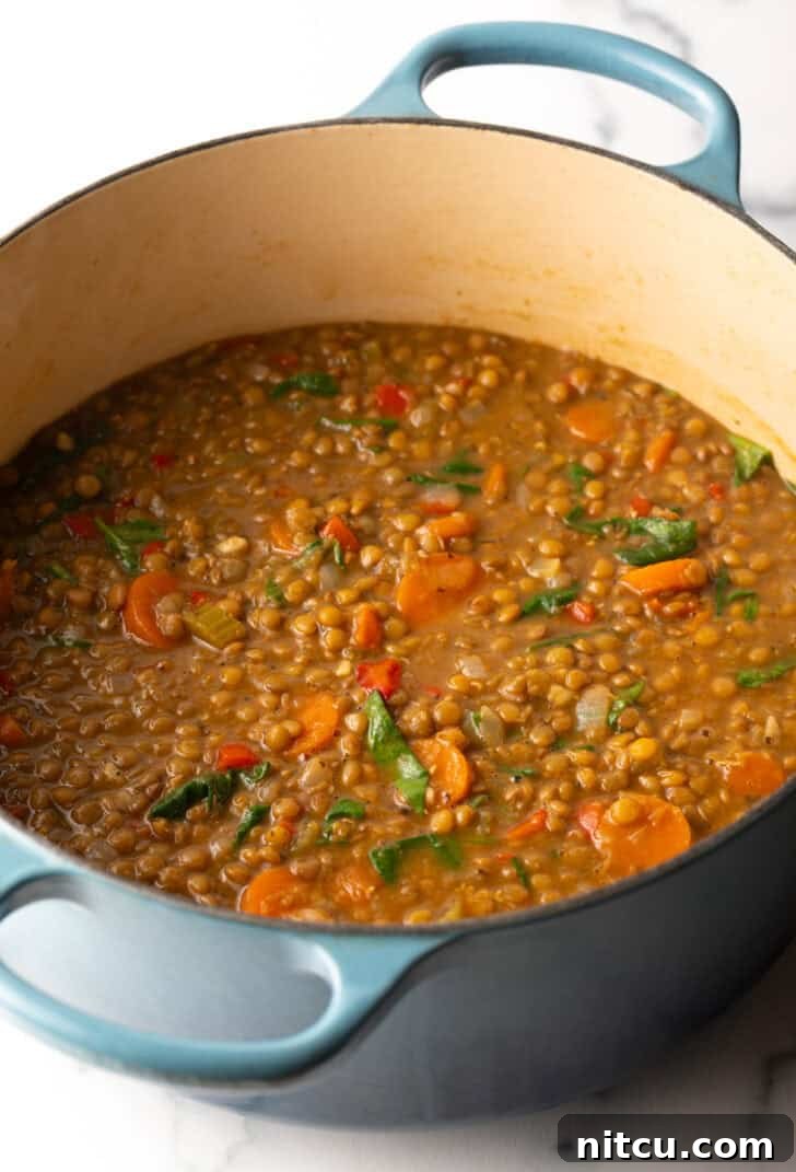 A large cooking pot filled with a rich, simmering lentil and vegetable soup, showcasing the medley of ingredients in a vibrant, savory broth.