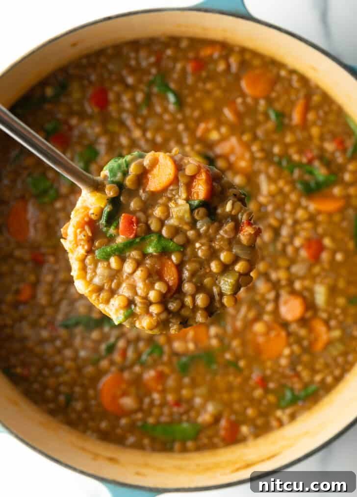 A ladleful of hearty lentil, carrot, and spinach vegetable soup, presented close to the camera, highlighting its rich texture and vibrant ingredients.