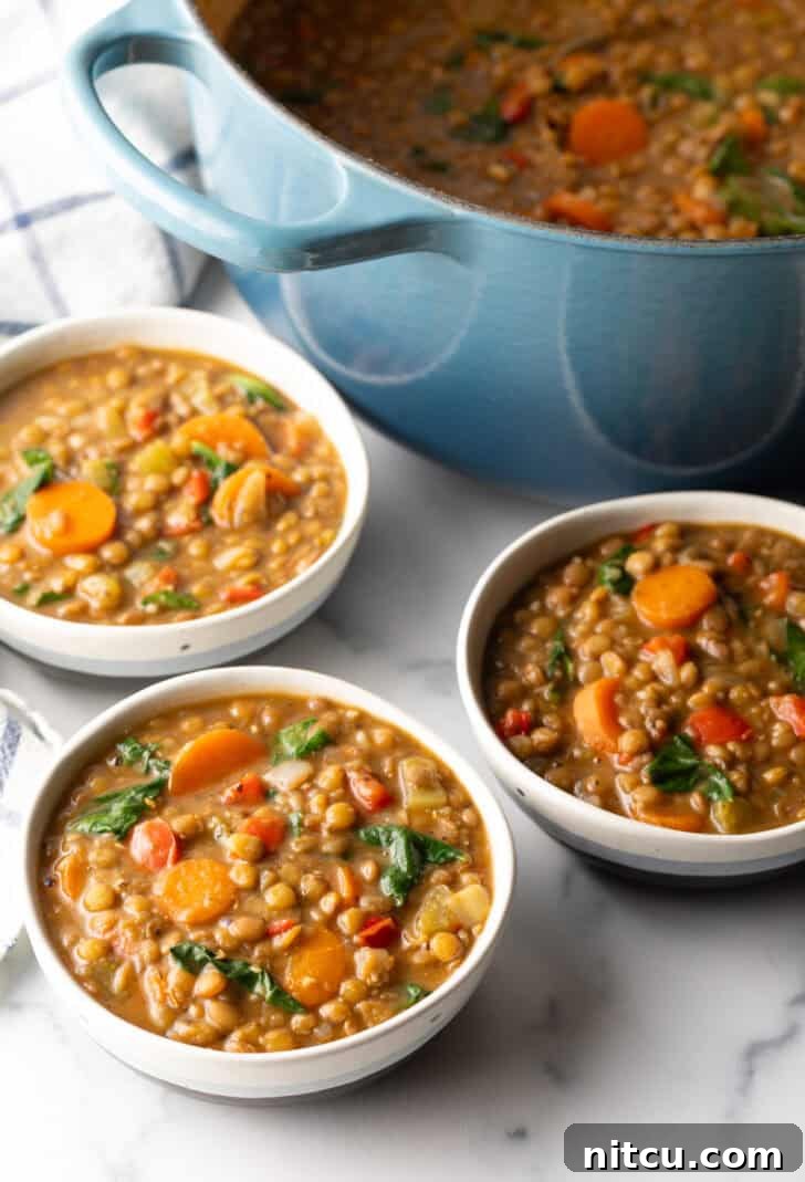 Three white bowls of flavorful traditional lentil soup, garnished with carrots and kale, symbolizing comfort and healthy eating.