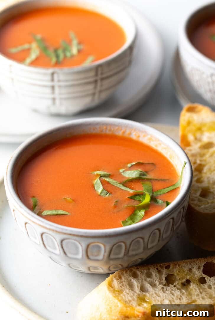 A vibrant bowl of creamy tomato soup, beautifully garnished with fresh basil leaves, ready to be savored.