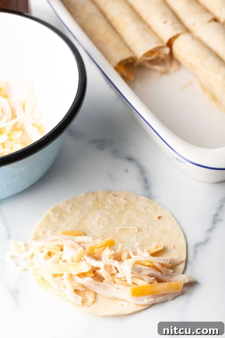Tortilla with shredded chicken and cheese, ready to roll and place in a baking dish with other enchiladas.