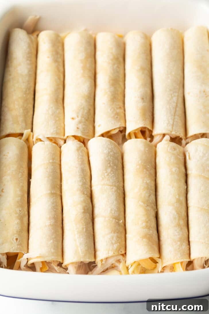A dozen rolled chicken and cheese enchiladas in a white baking dish.