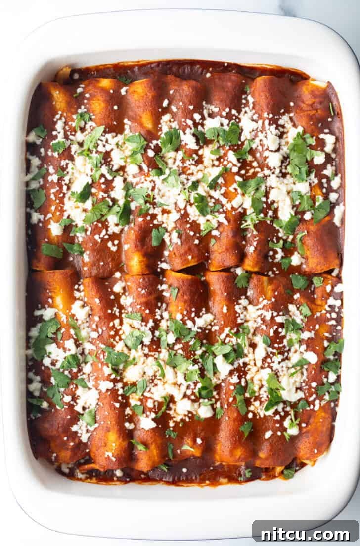 Large white rectangle baking dish with a dozen rolled enchiladas covered in red sauce, sprinkled with cotija cheese and chopped cilantro.
