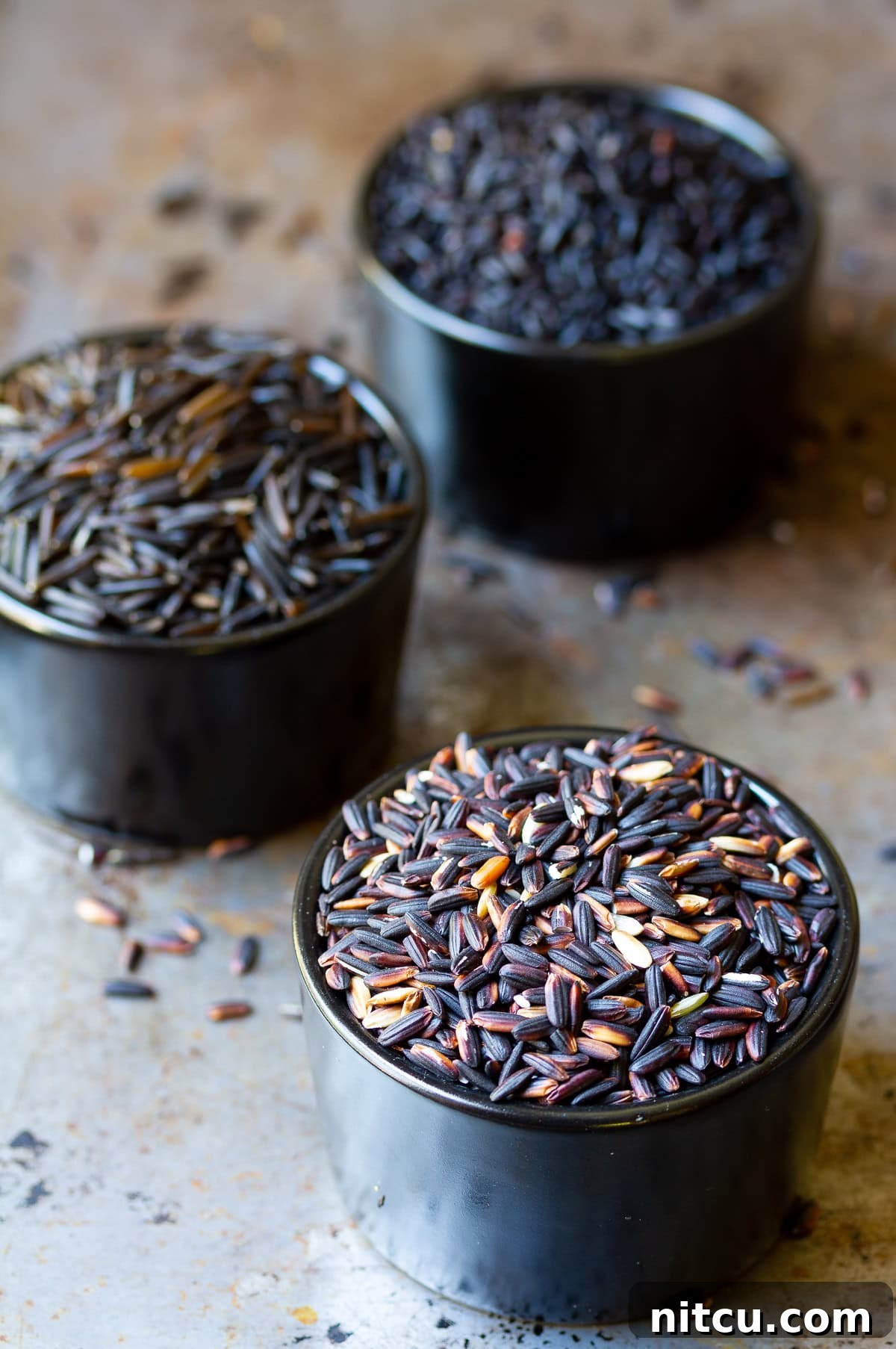Close-up of cooked black forbidden rice kernels.