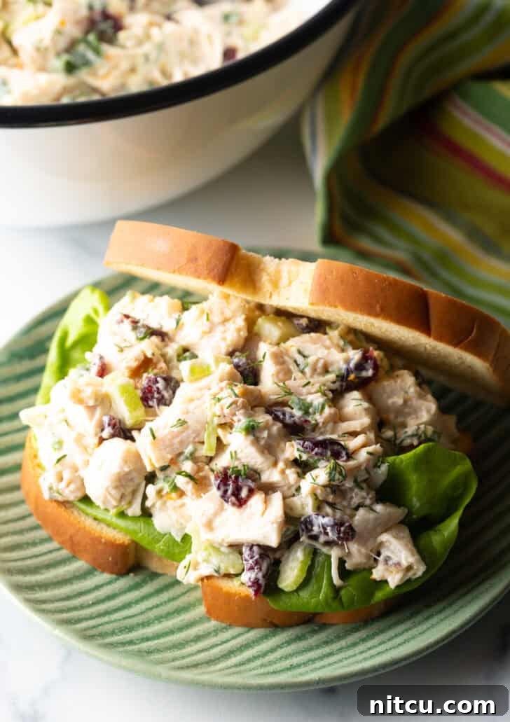 Cranberry chicken salad sandwich with top mostly open to show the salad and fresh greens inside.