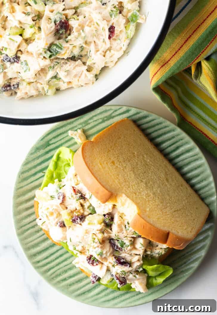 Cranberry chicken salad sandwich with top mostly open to show the salad and fresh greens inside.