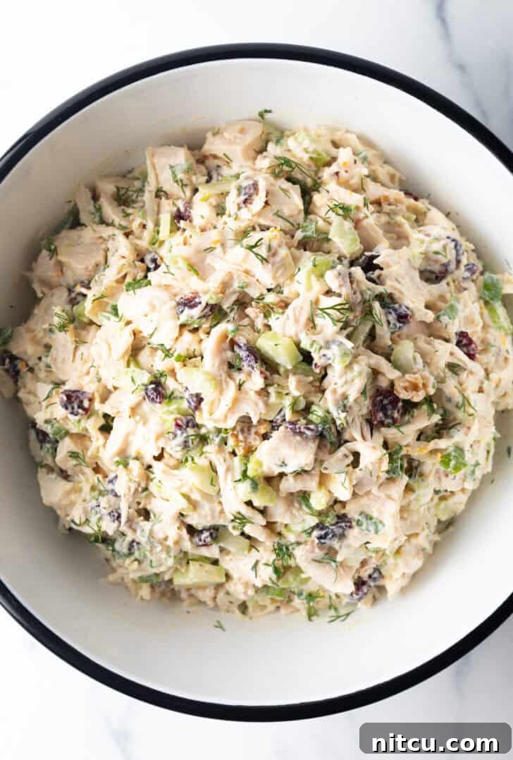 White bowl of chicken salad with walnuts and cranberries.