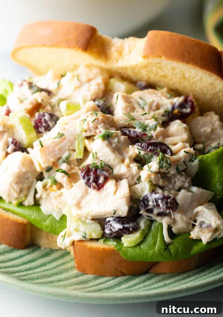 Cranberry chicken salad sandwich with top mostly open to show the salad and fresh greens inside.